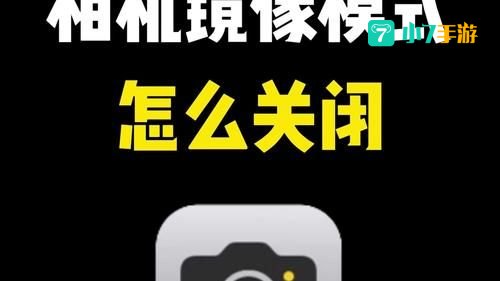 镜像模式